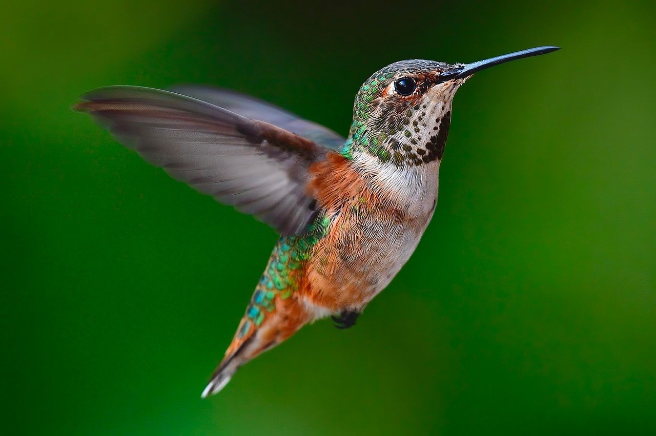 Pourquoi les entreprises agiles surpassent-elles leurs concurrents traditionnels? découvrez comment les entreprises agiles adaptent rapidement leurs stratégies pour innover et rester compétitives dans un marché en constante évolution.