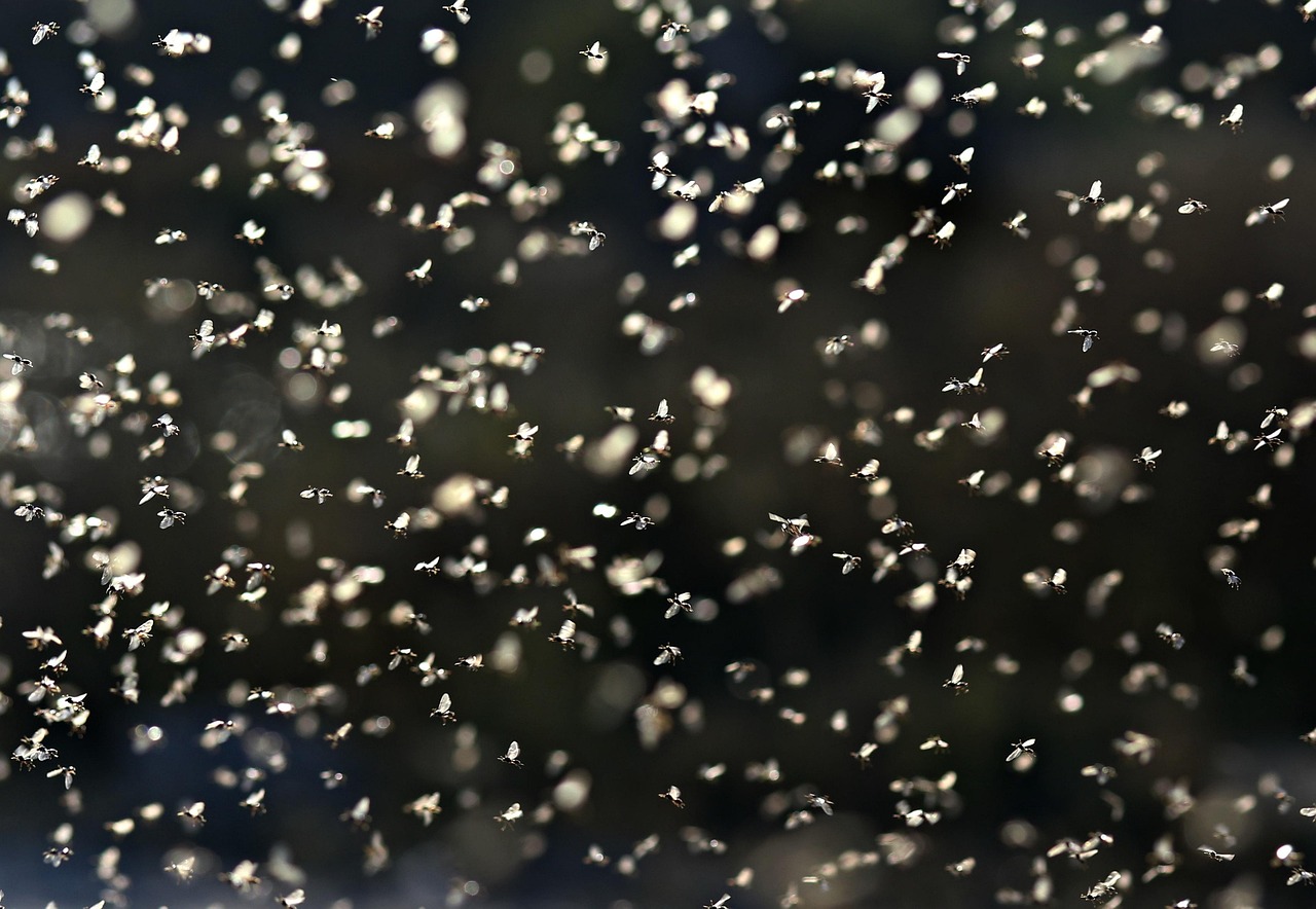 d&eacute;couvrez comment le marketing roi measurement optimise vos campagnes en mesurant pr&eacute;cis&eacute;ment le retour sur investissement pour maximiser vos r&eacute;sultats.