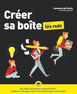 Créer sa boîte pour les Nuls, grand format, édition augmentée - guide, statut, financement, marché